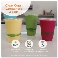 World Centric 3 oz PLA Plastic Cold Cups - Clear (2500/Carton)