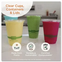 World Centric Plastic PLA Clear Cold Cup Lids Fits 9 oz to 24 oz Cold Cups - Clear (1000/Carton)