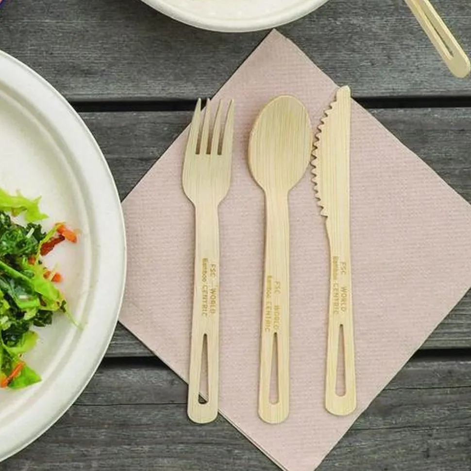 World Centric SP-BB-67 6.7 in. Bamboo Cutlery Spoon - Natural (2000/Carton)