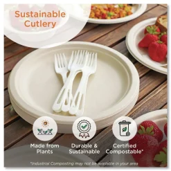 World Centric SP-TP-AS Plastic Asian Soup Spoon TPLA Compostable Cutlery - White (500/Carton)