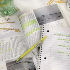 Zebra Z-Grip Chisel Tip Retractable Highlighter Markers - Neon Yellow (1-Dozen)